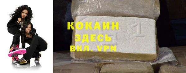 гидра Абаза
