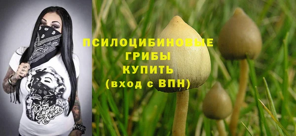 соль ск Абинск